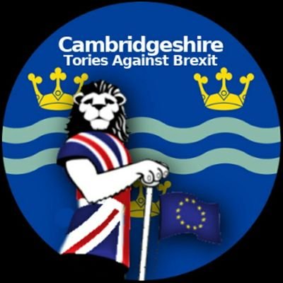 The @ToriesVsBrexit chapter here in #Cambridge, #Fenland, #Huntingdon, #Peterborough, #SouthCambridgeshire, #StNeots and #NorthCambridgeshire. Join us!
