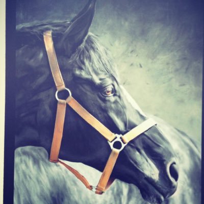 augustus_john2's profile picture. A rural pub with a large garden overlooking water meadows. Just a mile north of Salisbury ( off the A338 ) it can be reached by country paths and bridleways.