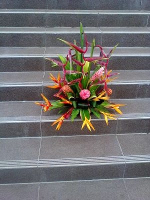 Specialize in fresh indoor flower arrangements, outdoor and indoor pot plants, event decorations and landscaping...  . ..
Flowers Brings Smile..