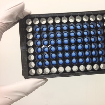 fountainpen9's profile picture. バイオ系企業研究者