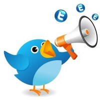 Follow Me (@muhammadharunr1) 's Twitter Profile