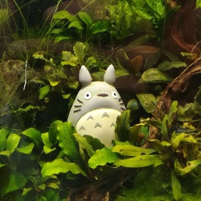 enotiru1221's profile picture. アドレナリンドリブンエンジニア。
女性へのリプは奥さんより制限されています。悪しからず！