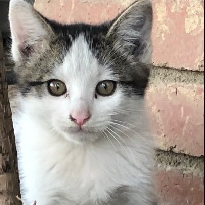 mecool85082796's profile picture. Me