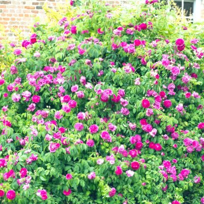 michelle_____8's profile picture. Happy Person