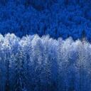 Matthew Gideon - @coolman_8032010 - Twitter