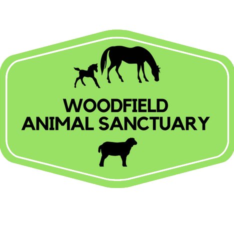 A not for profit horse, pony and animal sanctuary on Gower. Your support allows us to help as many animals as we can. Learn more on our website.