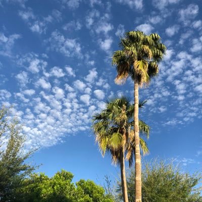 mrpaul995's profile picture. 