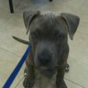 Megan Jenifer Frank - @mayjfrank - Twitter