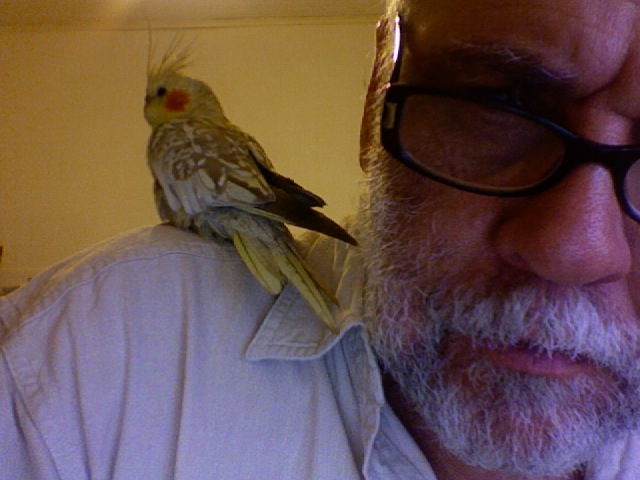 Freoman's profile picture. Retired after a career in educational technology. Five grandchildren, Live in and love Fremantle. Retired City Councillor North Ward.