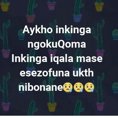 ZondiJanet's profile picture. I'm a good looking lady ...I'm strong ,loving ,caring ,tolerant person ,...I lyk being funny ...I live for love because I'm happy