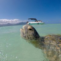 mirio (@mirio070492) 's Twitter Profile