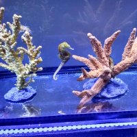 Dimitri (@dim1tri1) 's Twitter Profile