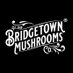Bridgetown Mushrooms (@Btshrooms) Twitter profile photo