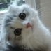 Darcher (@s8620186201) Twitter profile photo Darcher (@s8620186201) Twitter profile photo