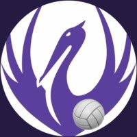 Perse Netball(@PerseNetball) 's Twitter Profile Photo