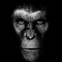 freepark (@freepark2) 's Twitter Profile Photo freepark (@freepark2) 's Twitter Profile Photo