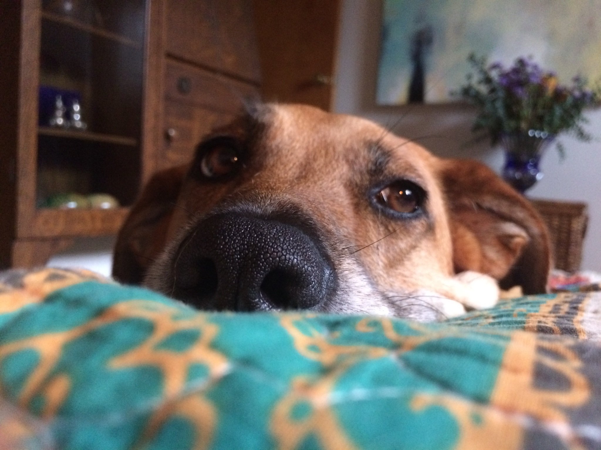 Matthew84411532's profile picture. I’m an artist living in North Carolina.  I have a wife and a dog and I was once in terrific shape.