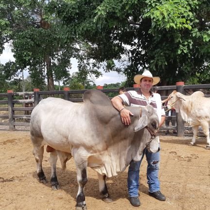 EcheLuge's profile picture. la vida es sencilla, nosotros solemos complicarla. familia, Dios amigos y disfrutar de la naturaleza son los pilares para ser felices.