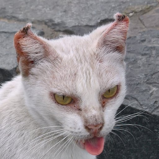 TinoAW's profile picture. https://t.co/oypMcNCsZn
https://t.co/aVyMMYToL9
https://t.co/GGbY09108S