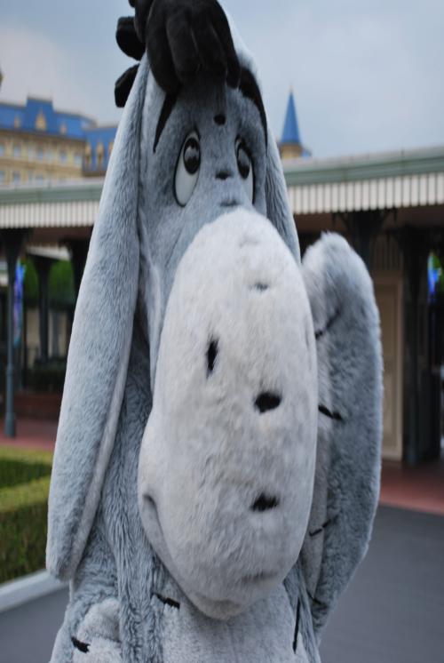 千葉ロッテマリーンズ、ディズニー、道の駅巡り、飛行機、鉄道好きの千葉あずさです。

宜しくお願いします。