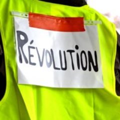 In solidarity with the French #YellowVest movement! #NuitDebout #OccupyWallSt #GlobalDebout #decentralization #blockchain #directdemocracy #cryptocurrency