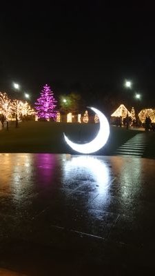 spr_awakening's profile picture. 今日も一日、本を読んで暮らした。
ブレイディみかこヘッズ。韓国映画好き。ぼる塾好き。
病人のような蒼白い顔の月である。