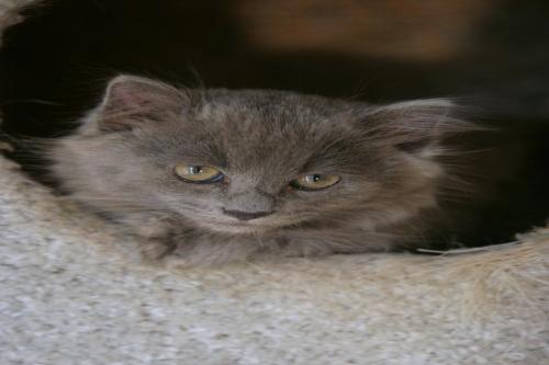 SFCMaryGRet's profile picture. 