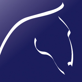 horseshow's profile picture. Internationella hästtävlingar och show i Scandinavium varje år med början 1977.