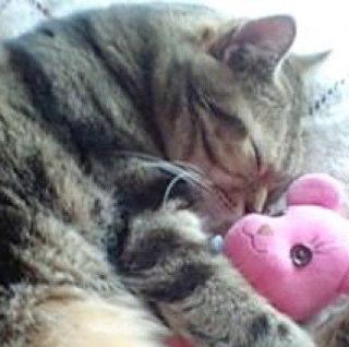 999_kiki's profile picture. クリエイティブディレクター/エディトリアルde