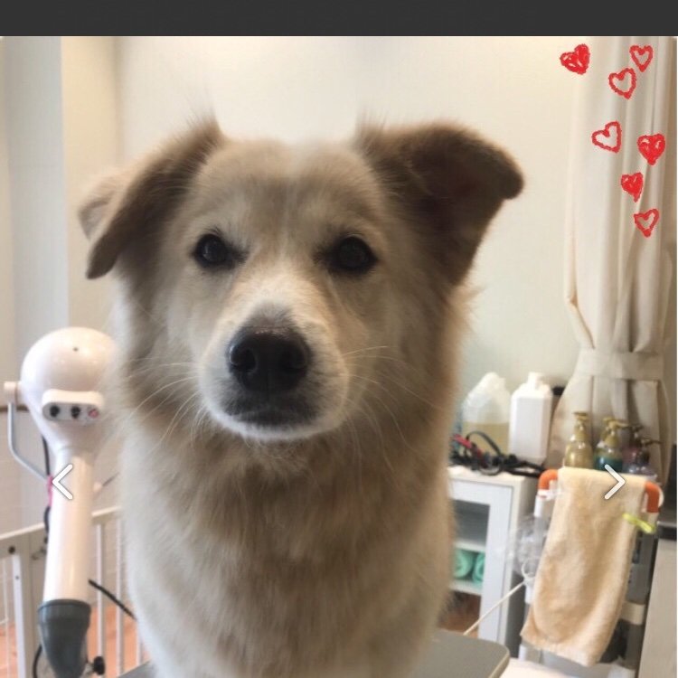 くるりんさんのプロフィール画像