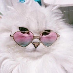 TJ_Benne's profile picture. 🤷🏻‍♀️// instagram: taylar_jane