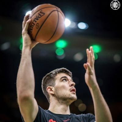 Ivica Zubac Profile