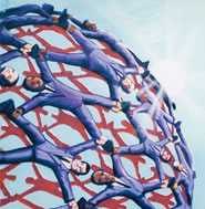 Online Netwerken Profile