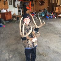 steve niebrugge (@niebruggesteve) 's Twitter Profile