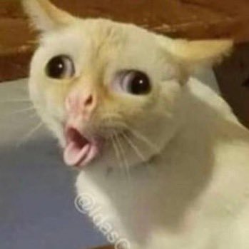 donaaa_a's profile picture. 👍🏽👍🏽👍🏽