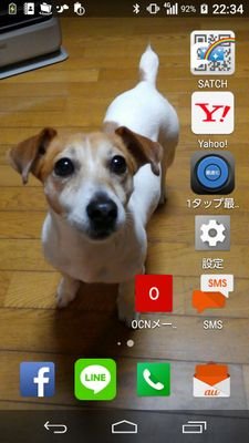 愛犬いちご、ジャックラッセルテリアは去る1月2日、13歳3ケ月の命をまっとうしました。これまでのワンちゃん繋がりのみなさま、ほんとうにありがとうございました。(プロフィールに代えて)