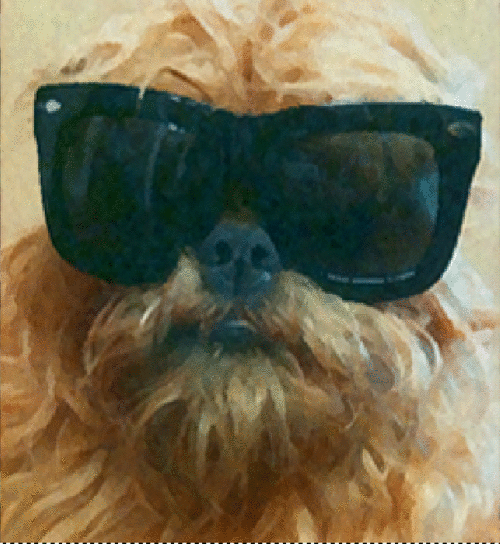 humphrey thee dog Profile