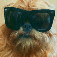 humphrey thee dog (@humphreythedog) 's Twitter Profile
