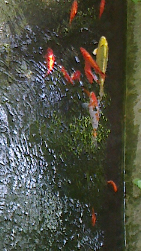 TEtiVZ3D3hucZk5's profile picture. 