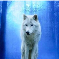 RogueWolf(@RogueWolf2001) 's Twitter Profile Photo