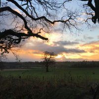 David B (@cloakingwarbird) 's Twitter Profile