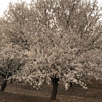 AntoniophPoda's profile picture. 