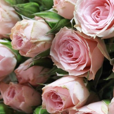 wa3e_n's profile picture. 