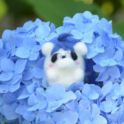 ARUさんのプロフィール画像