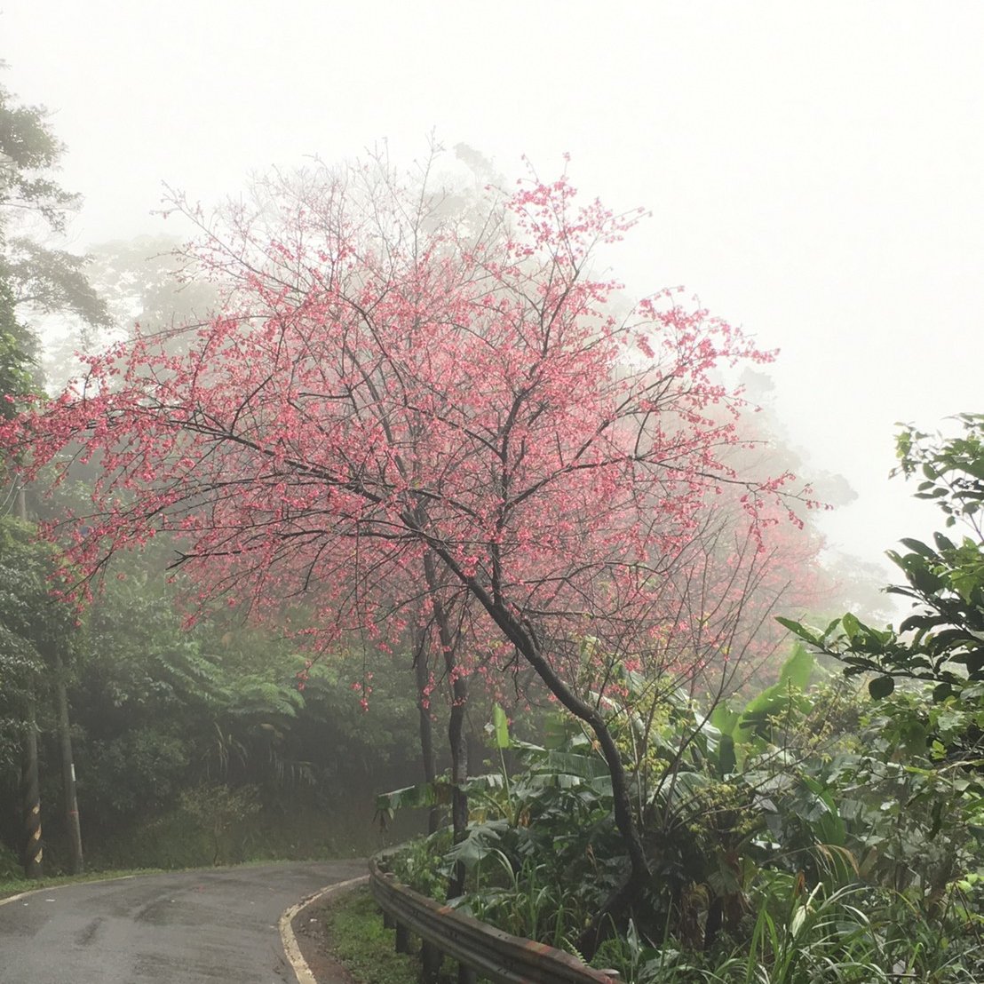 giotpeshotmail1's profile picture. https://t.co/l9hx57nIUX