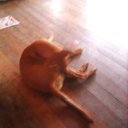 Thomas Billy - @ThomasB83946750 - Twitter