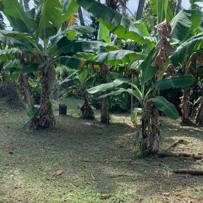 WranglerSeadoo's profile picture. 