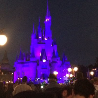 clairemenlove's profile picture. Living the dream!