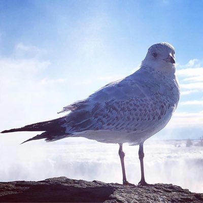 KY_yahata's profile picture. Service not provided.