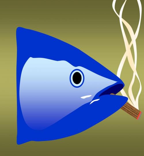 Misteratun's profile picture. 